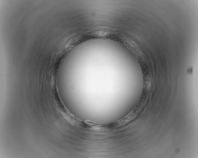 X0000091850568200709050938
