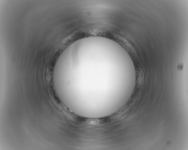 X0000091850569200709050938