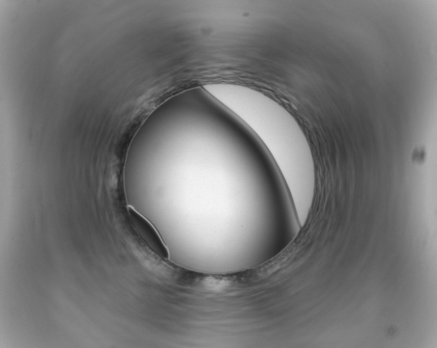 X0000091850570200709050938