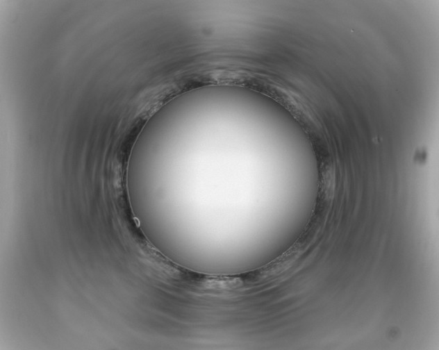 X0000091850571200709050938