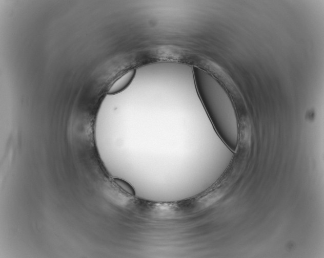 X0000091850573200709050938