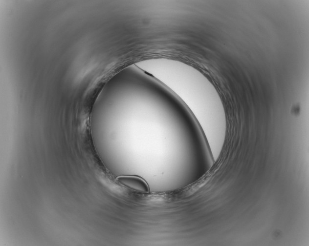 X0000091850574200709050938