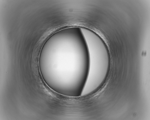 X0000091850577200709050937