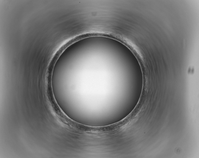 X0000091850580200709050937