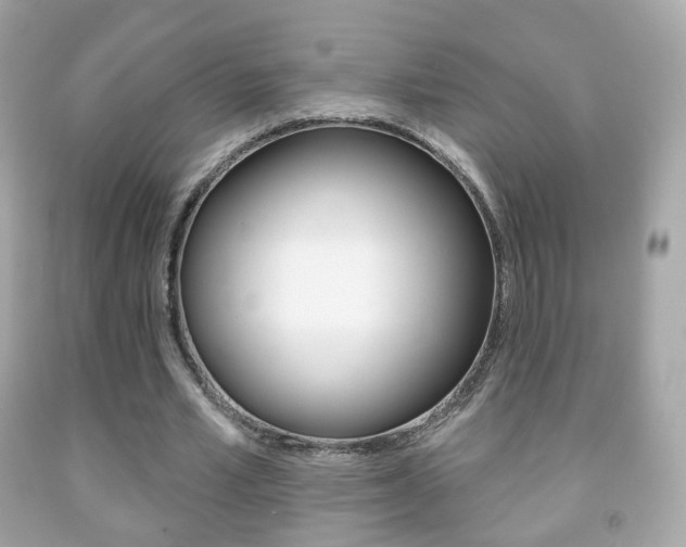 X0000091850581200709050937