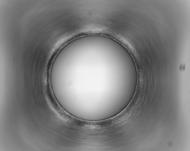 X0000091850582200709050937
