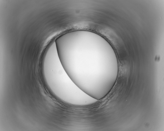 X0000091850583200709050937