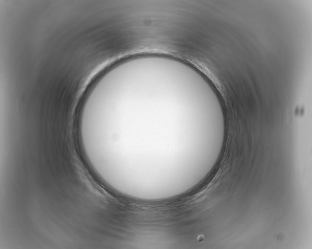 X0000091850584200709050937