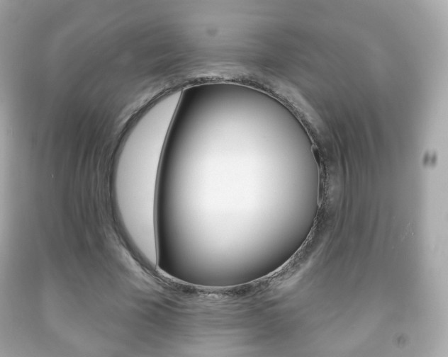 X0000091850585200709050937