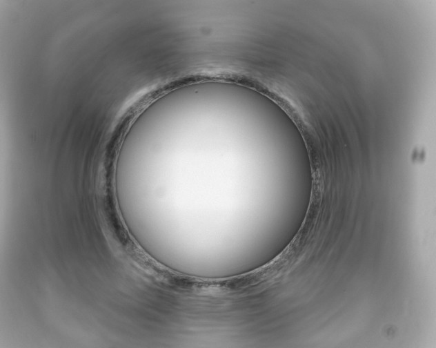 X0000091850587200709050937