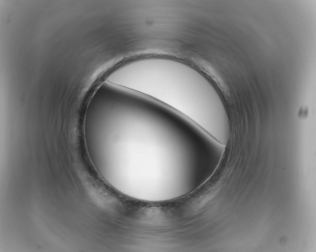 X0000091850588200709050937