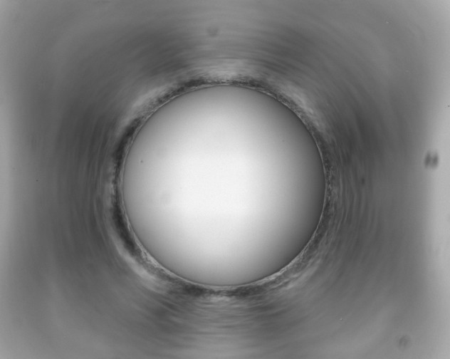 X0000091850590200709050937