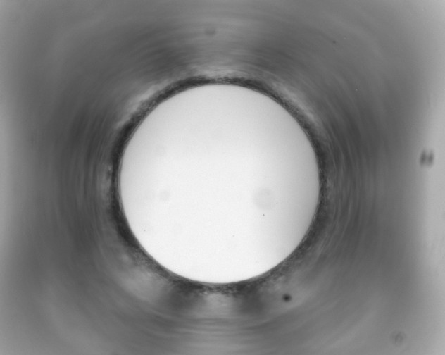 X0000091850592200709050937