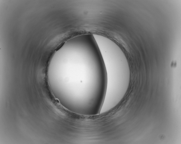 X0000091850593200709050937