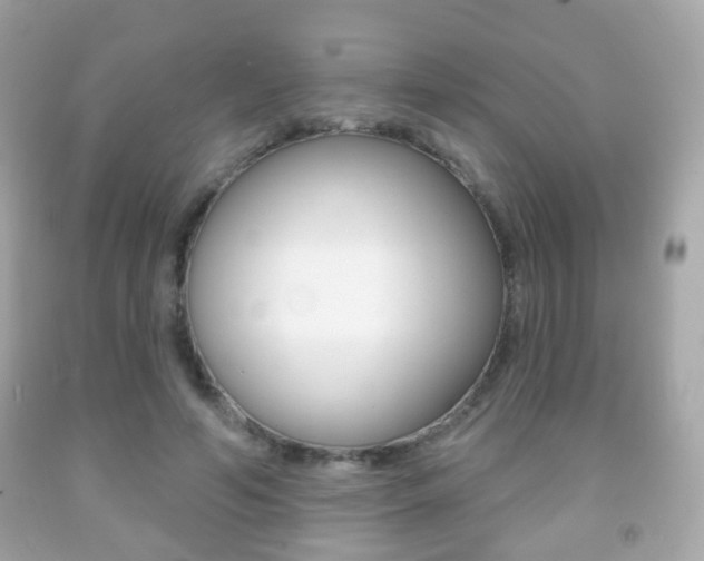 X0000091850594200709050937