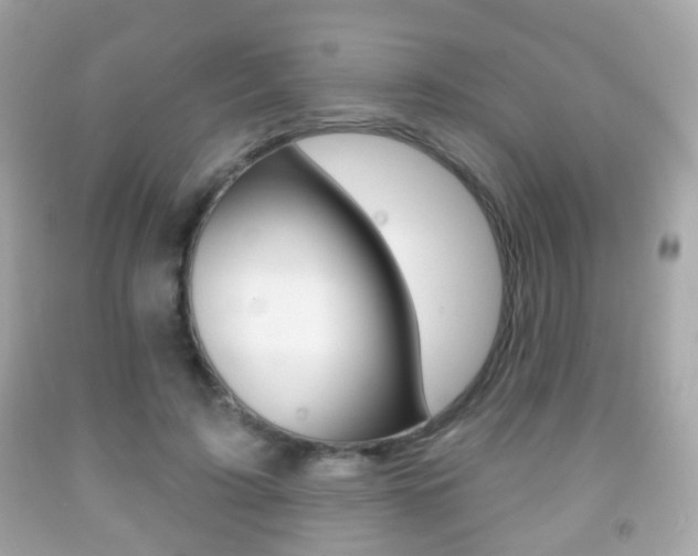 X0000091850595200709050937