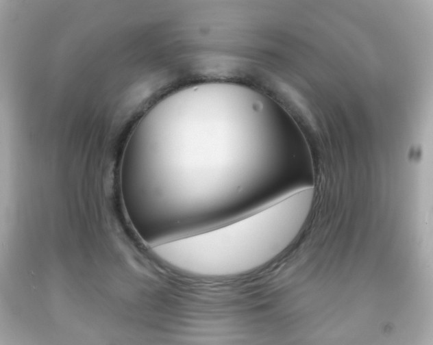 X0000091850596200709050937
