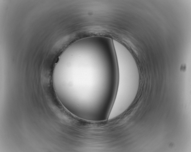 X0000091850597200709050937