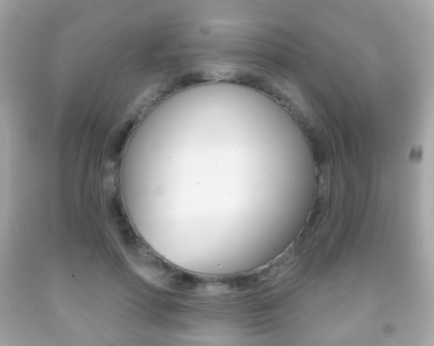 X0000091850598200709050937