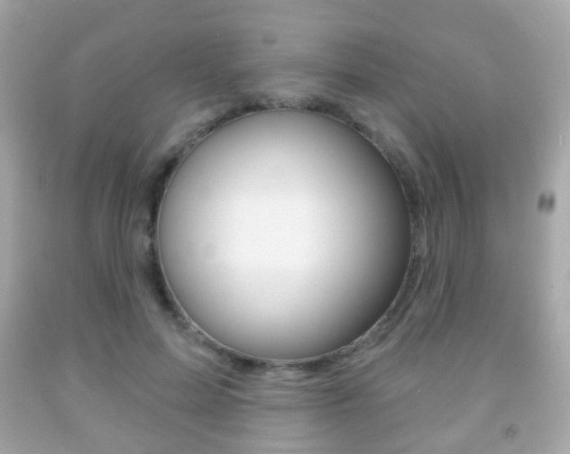 X0000091850599200709050937