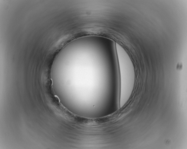 X0000091850600200709050937