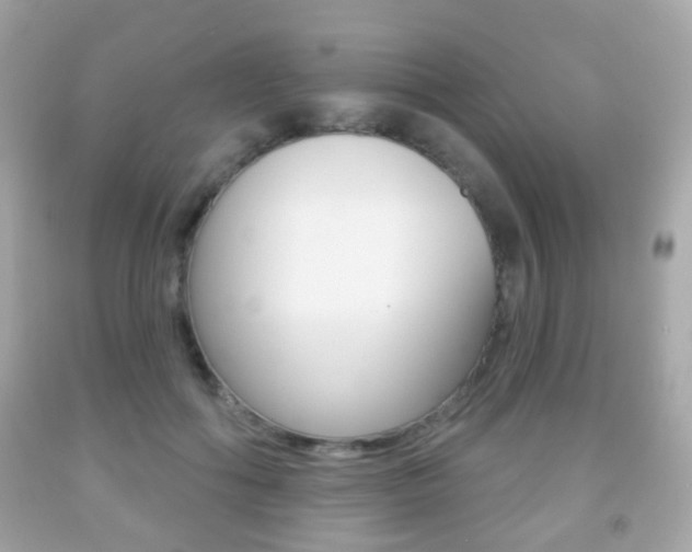 X0000091850602200709050937
