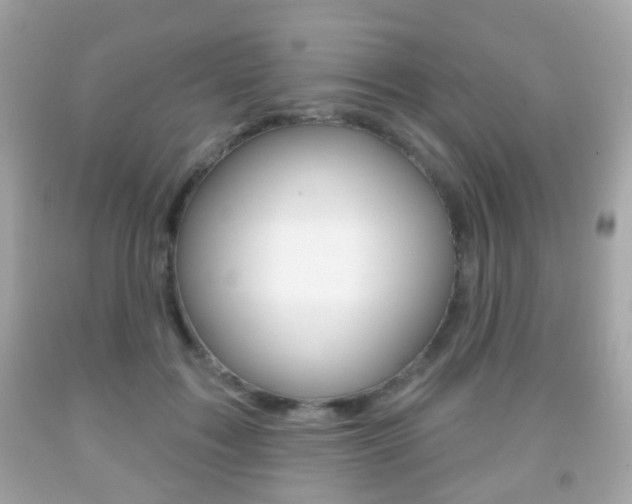 X0000091850603200709050937