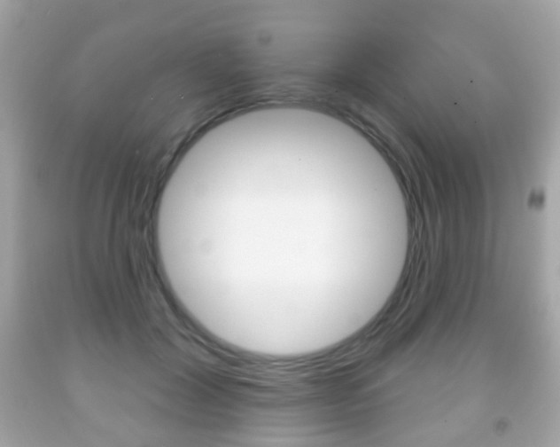 X0000091850604200709050937