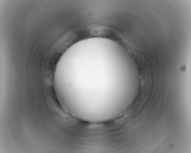 X0000091850606200709050937