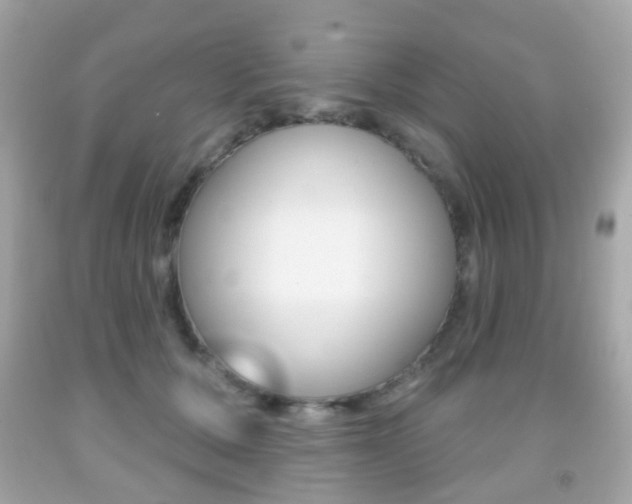 X0000091850607200709050937