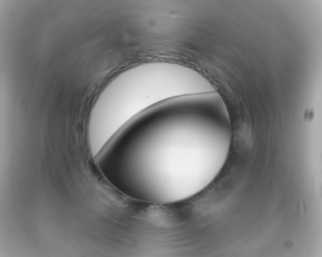 X0000091850608200709050937