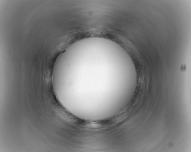 X0000091850610200709050937