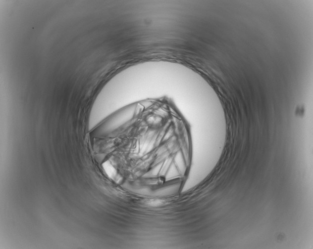 X0000091850611200709050937