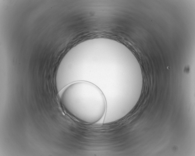 X0000091850613200709050937