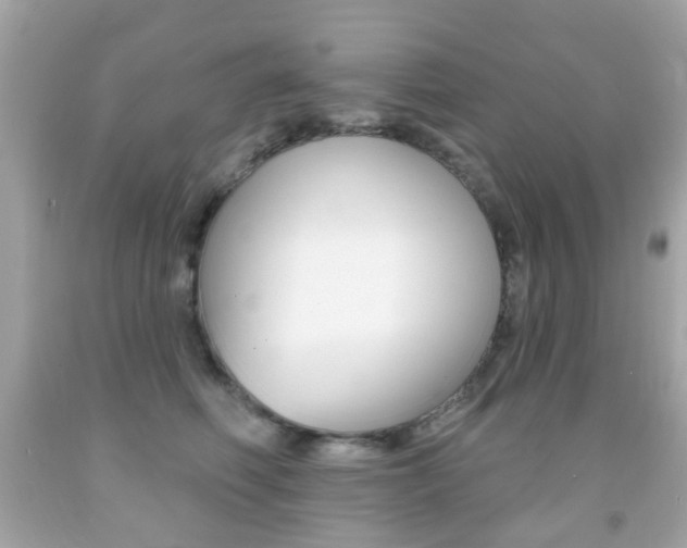 X0000091850614200709050937