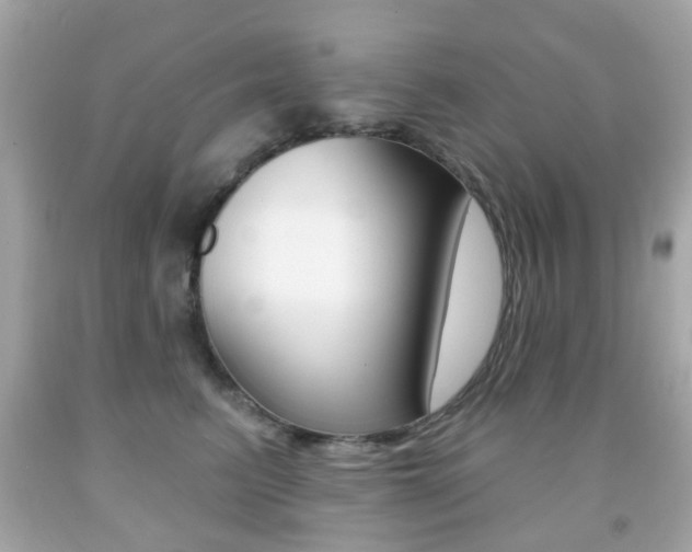 X0000091850615200709050937