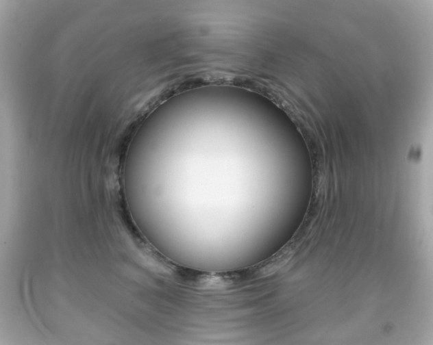 X0000091850616200709050937