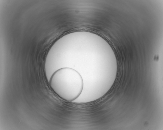 X0000091850617200709050937