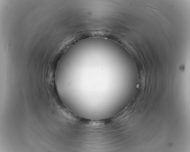 X0000091850619200709050937