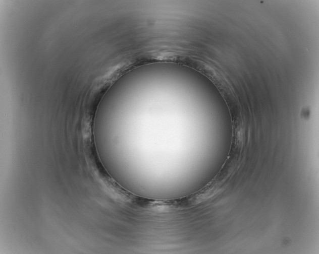 X0000091850620200709050937