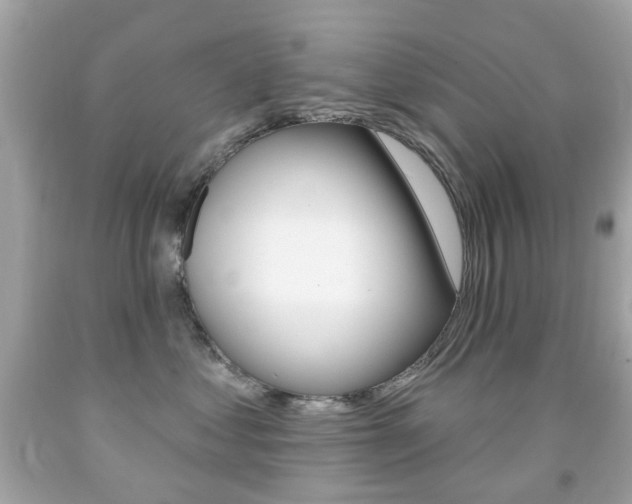 X0000091850621200709050937