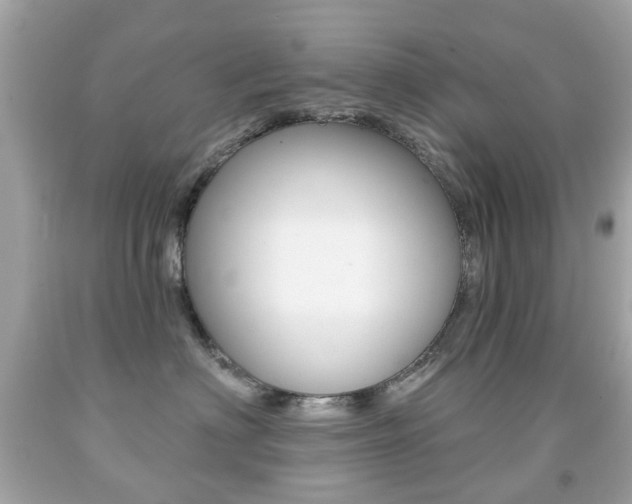 X0000091850622200709050937
