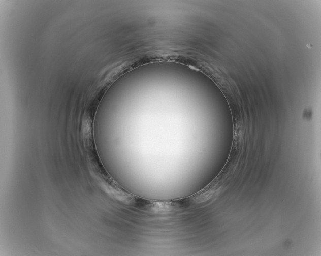 X0000091850623200709050937