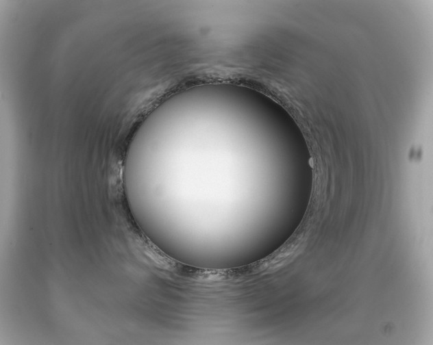 X0000091850624200709050937