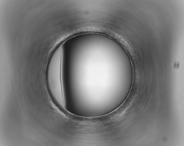 X0000091850625200709050936