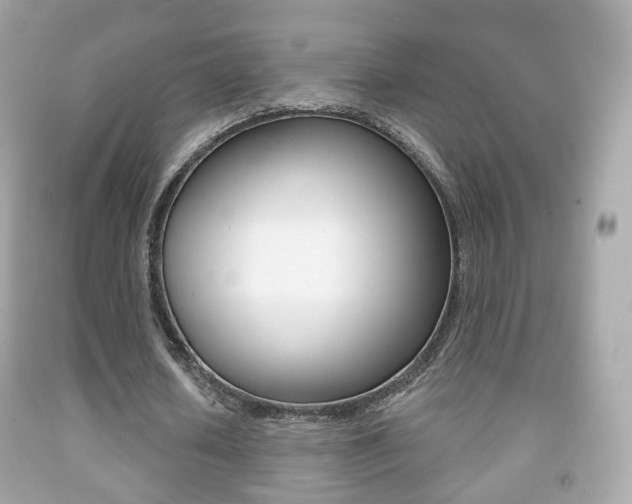 X0000091850626200709050936