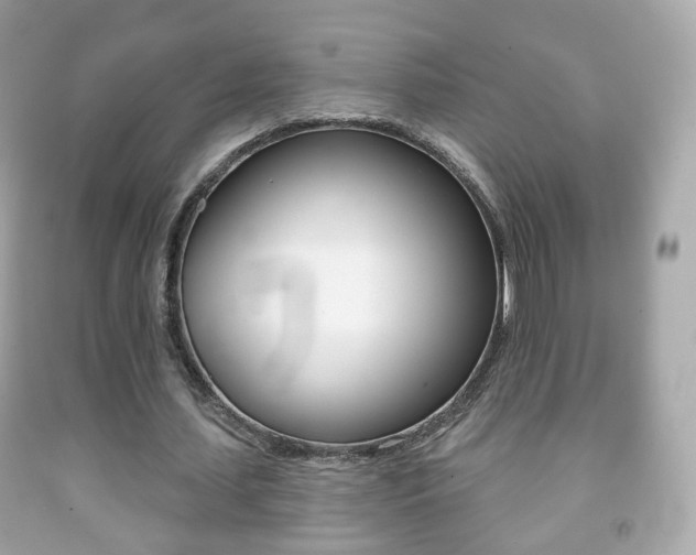 X0000091850627200709050936