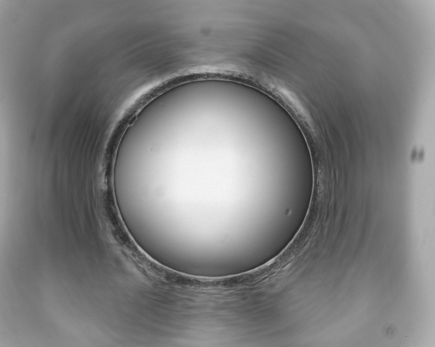 X0000091850628200709050936