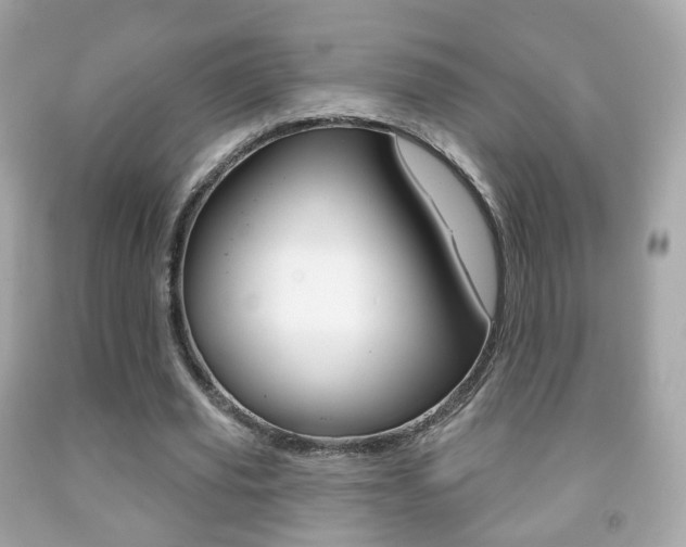 X0000091850629200709050936