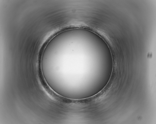 X0000091850630200709050936